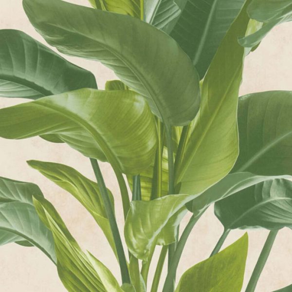 Ταπετσαρία A.S. Création Metropolitan Stories II Barcelona Floral - Image 4